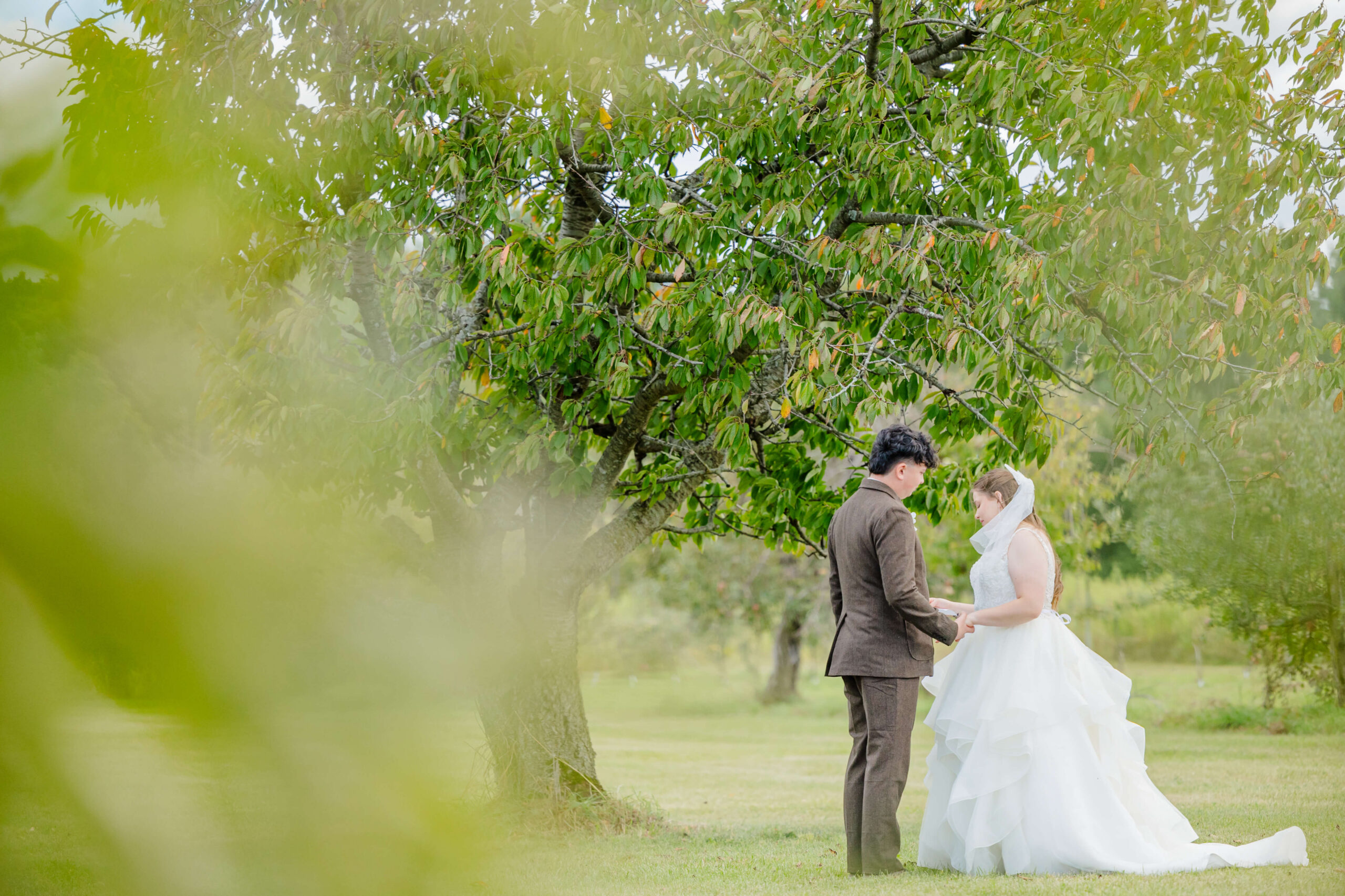 A groom in brown holds hands with his bride under a tree in a meadow at one of the wedding venues in Rochester, MI