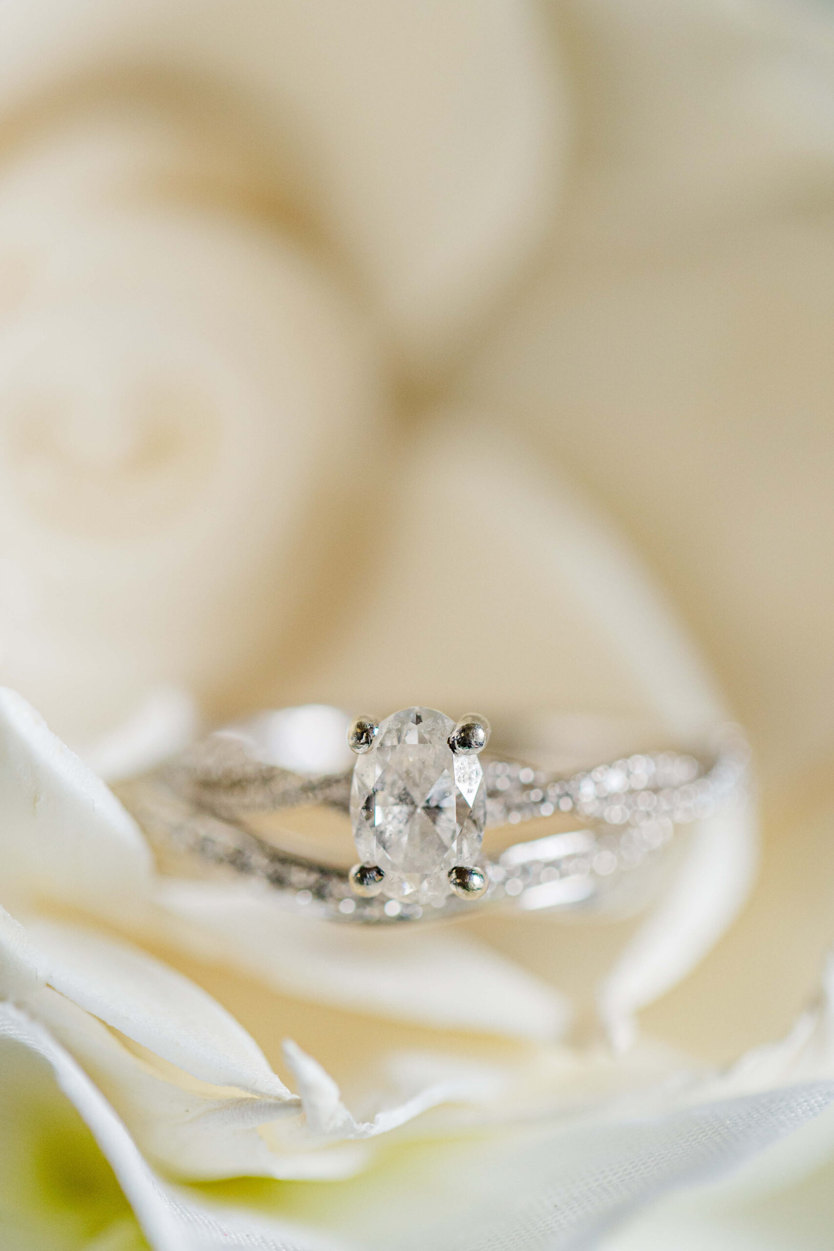 Details of a bride's engagement ring on a white rose